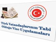 Pasaportlara Göre Ülkelerin Vize Uygulamaları (2024)